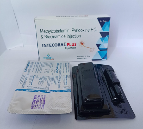  INTECOBAL-PLUS